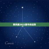 慈风阁2022属牛的运势，1997属牛的2021年运势大家知道吗？