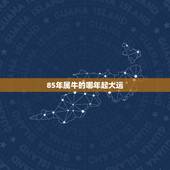 85年属牛的哪年起大运 1985年属牛女后半生命运