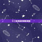 十二生肖鼠的婚配绝配，鼠配什么生肖最好