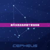 属牛女孩出生的四个更佳时辰，八月出生的牛肉的一好