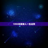 1995年属猪人一生运势，1995年属猪的运程怎么样？