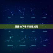 属猪的下半年命运如何，2015年属猪的每月运势，全年运程，属猪的201