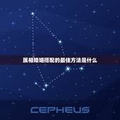 属相婚姻搭配的最佳方法是什么，生肖配对是怎么配的