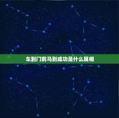 车到门前马到成功是什么属相，车到山前，马到成功，打一生肖，请尽快，我急
