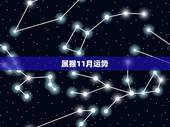 属猴11月运势，1992年属猴农历11月28的运势