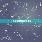 十二属相婚配表生肖婚配，属猴的和什么属相最相配 12属相婚配表