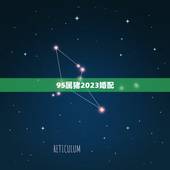 95属猪2023婚配，95年属猪哪年遇到另一半
