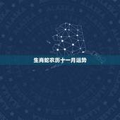 生肖蛇农历十一月运势，农历十二生肖每月运势