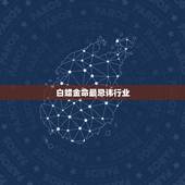 白蜡金命最忌讳行业，白蜡金命好吗