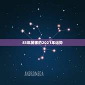 83年属猪的2021年运势，83年2021年属猪运势