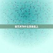 金兀术为什么没当皇上，如何评价金兀术？