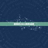 属狗的2022狗年运势，生肖狗2022年运势