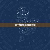 1977年蛇属相什么命，1977年属蛇是什么命