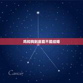 鸡和狗到底能不能结婚，鸡和狗能结婚吗？