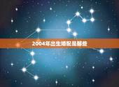 2004年出生婚配是那些，2000年生人是什么命怎么婚配