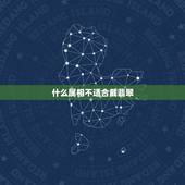 什么属相不适合戴翡翠，年轻人为什么不能戴玉