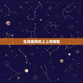 生肖属狗的上上等婚配，生肖属狗的能与哪些属相婚配