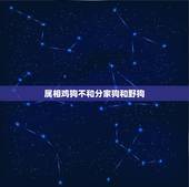 属相鸡狗不和分家狗和野狗，为什么生肖鸡和狗相克