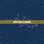 撒贝宁是什么星座的，撒贝宁妻子啥星座