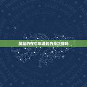 属鼠的在牛年遇到的是正缘吗，84年属鼠三次婚姻在几岁