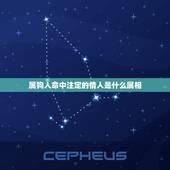 属狗人命中注定的情人是什么属相，属狗的人和什么属相相配最好