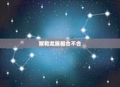 猴和龙属相合不合，十二属相猴和龙配吗？
