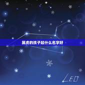 属虎的孩子起什么名字好，中国起名实用大全
