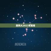 属狗人2021年离婚，2021年属狗人的全年运势