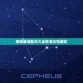 婚姻属相配对大全很准女性属蛇，女属蛇和什么属相最配