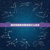 属龙男最配的属相是什么生肖，88年属龙的和什么属相最配