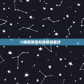 婚配属兔和啥属相最好，属兔的和什么属相最配