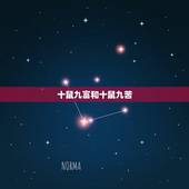 十鼠九富和十鼠九苦，十鼠九苦属鼠的命苦
