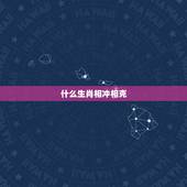 什么生肖相冲相克，属兔的跟什么属相相冲