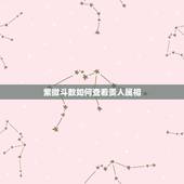 紫微斗数如何查看贵人属相，紫薇命盘怎么看