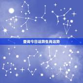 查询今日运势生肖运势，2022 年11月8日十二生肖运程