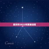 麦玲玲2022年属猪运程，2022 年运程十二生肖运程宋韶光