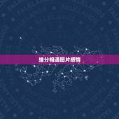 缘分相遇图片感情，两个人相遇是一段奇妙的缘分，这样的缘分该如何珍惜？