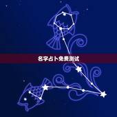 名字占卜免费测试，项伟平名字算命测分，八字，五行，祥测