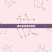 海中金命是金命吗，海中金五行是属水吗