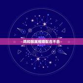 鸡和猴属相婚配合不合，属猴的和属鸡的真的不合吗？
