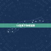 12生肖下半年运势，十二生肖十一月运势