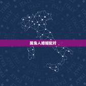 属兔人婚姻配对，1999年兔男的最佳婚姻配对是