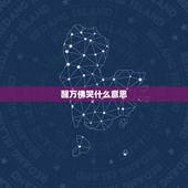 醒万佛哭什么意思，瘟疫是 出世前兆