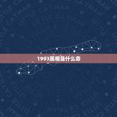 1993属相是什么命，1993年属鸡的是什么命？
