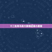 十二生肖马是大属相还是小属相，属相马的六合都是什么