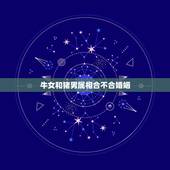 牛女和猪男属相合不合婚姻，男属牛与女属猪合不合婚