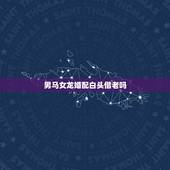男马女龙婚配白头偕老吗，男马女龙相配吗