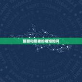 属猴和属猪的婚姻如何，五月属的猴与八月属猪配婚姻长久吗？属猴的是198