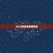 2022微信成熟男网名，2023成熟微信昵称男