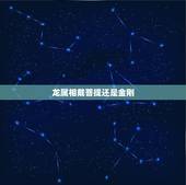 龙属相戴菩提还是金刚，什么属相戴什么手串？